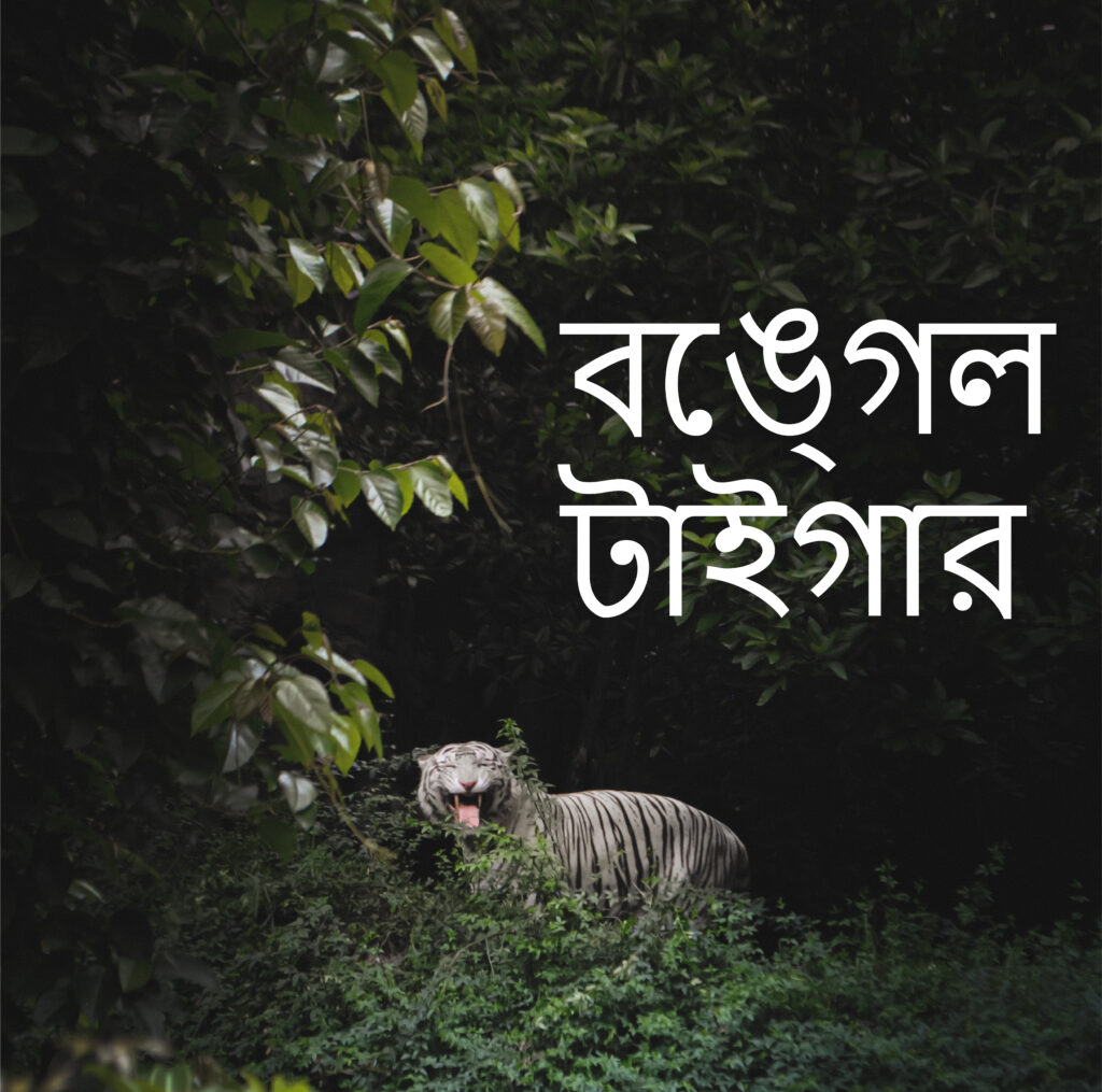 Bengali Online Language Course, Bengali Language